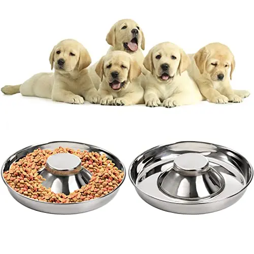 Two silver SOUJOY stainless steel puppy bowls with raised centres