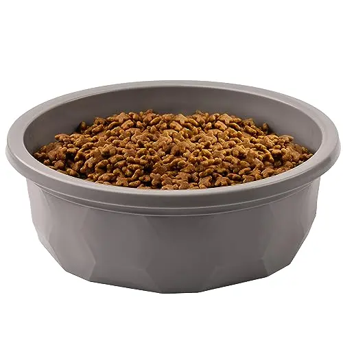 Leashboss Extra Large Dog Water Bowl, Gray