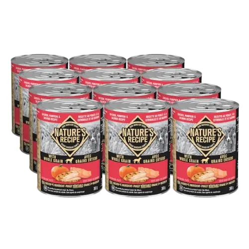 Nature's Recipe chicken pumpkin and salmon pate canned dog food
