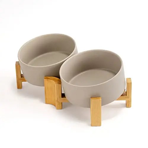 Ceramic tilted dog bowl with bamboo wood stand for English bulldog