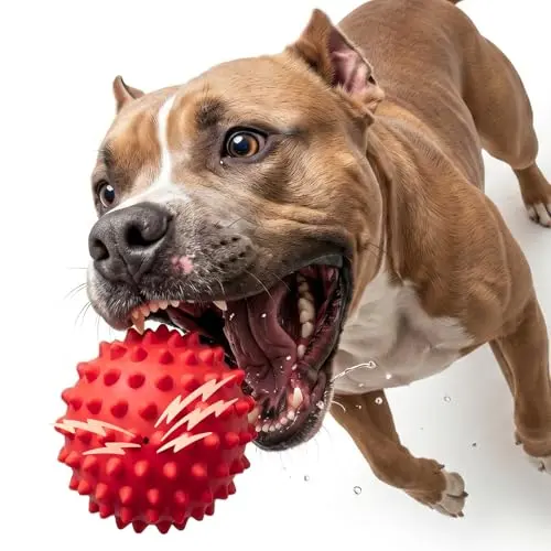 Apasiri Squeaky Dog Ball with spiky red rubber surface and built-in squeaker
