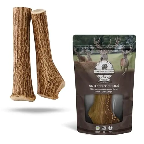 WhiteTail Naturals 2 pack XL axis deer antler dog chew toy