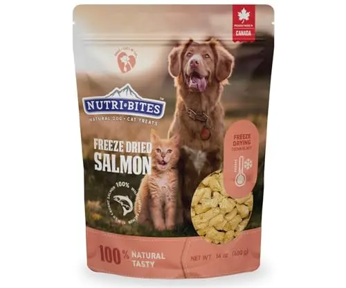 Nutri Bites freeze-dried salmon dog and cat treats in a large resealable pouch