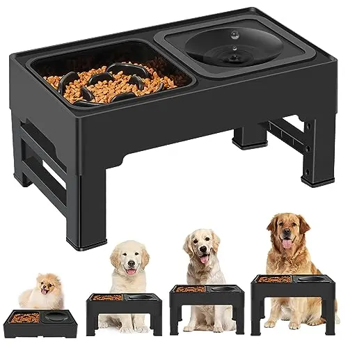 ikuso elevated slow feeder dog bowl with adjustable height stand, black