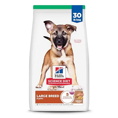 Hill's Science Diet Large Breed Puppy Lamb Meal & Brown Rice dry dog food bag