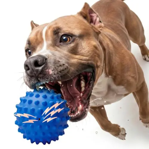 Apasiri blue floatable squeaky ball with bacon flavor and rugged spike design