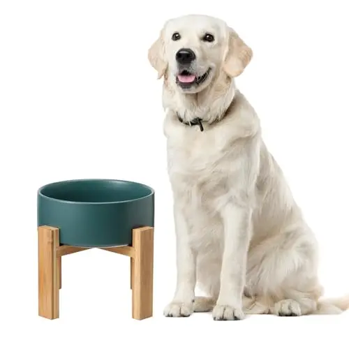 LIONWEI ceramic raised dog bowl on bamboo stand, ideal for flat-faced dogs