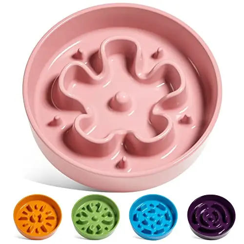LE TAUCI Ceramic Slow Feeder Dog Bowl Small Breed in Bloom Pink with maze pattern