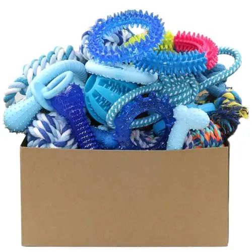 Beiker 20 Pack Puppy Chew Toys Set