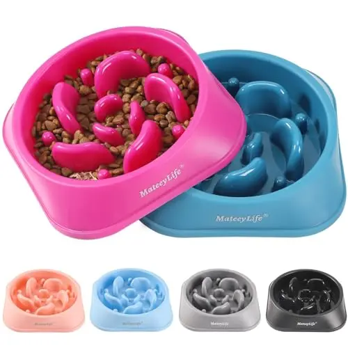 MateeyLife purple and dark blue slow feeder dog bowls set