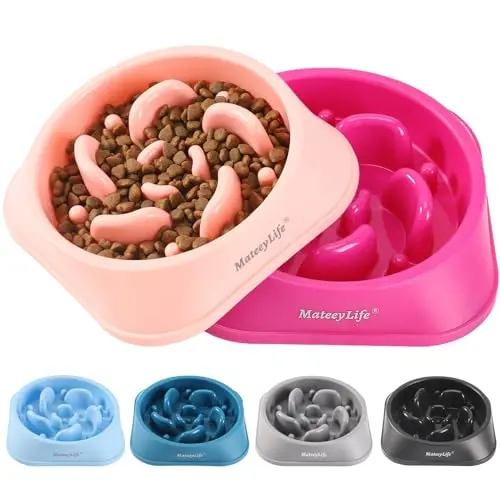 MateeyLife slow feeder dog bowls 2-pack in pink and purple