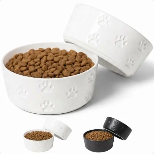HB Design Co. off-white ceramic dog bowls with paw print design, set of 2
