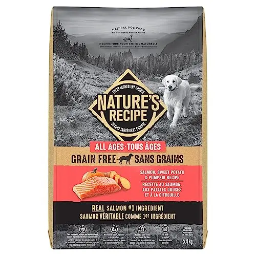 Nature's Recipe Grain Free Salmon, Sweet Potato & Pumpkin dog food in a 5.4 kg bag
