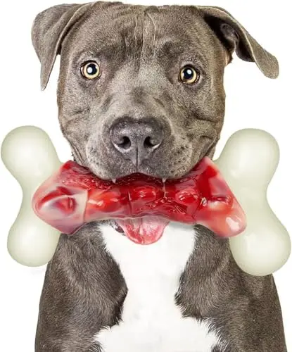 2TRUL red nylon dog bone chew toy with bacon flavour for medium and large breeds
