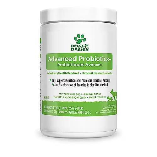 Doggie Dailies Probiotics for Dogs chewable supplement