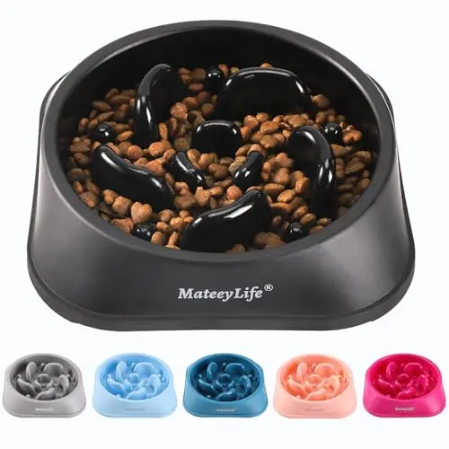 MateeyLife slow feeder dog bowl with maze pattern on a floor