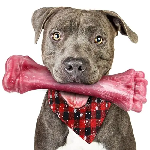 PUPTILY heavy-duty nylon dog bone for large breed aggressive chewers