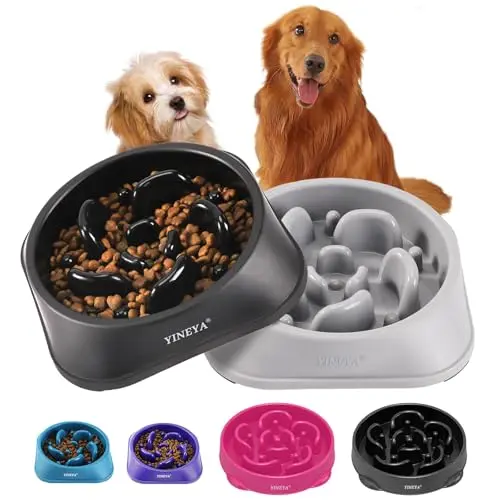 Gray and black YINEYA slow feeder dog bowls, two-pack set with maze pattern, side by side