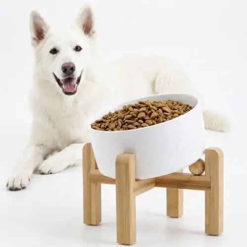 Petygooing White Elevated Tilted Ceramic Dog Bowl for Large Dogs