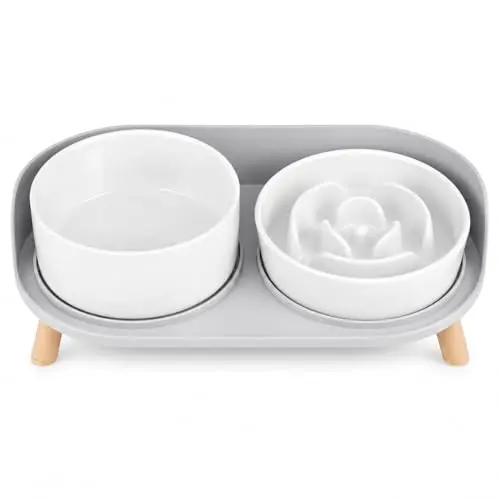 PTOBER elevated ceramic slow feeder dog bowl set white