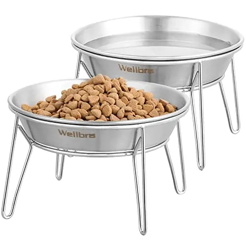 Wellbro Cat Bowls, two elevated stainless steel wide shallow bowls on metal stands