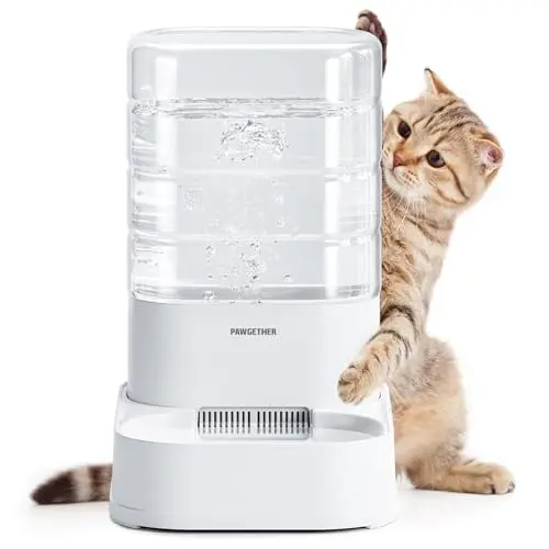 PAWGETHER gravity filtered cat and dog water dispenser