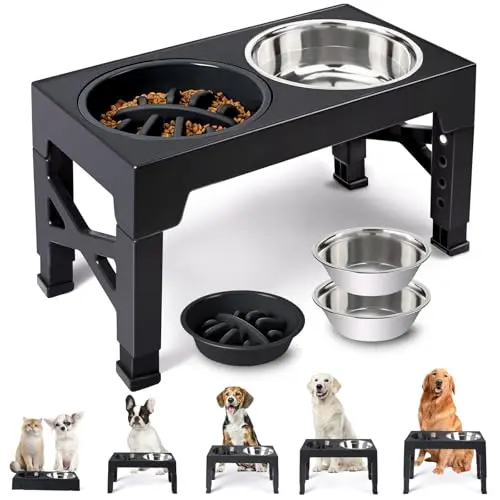 Heeyoo raised dog bowls in black with two stainless bowls and a slow feeder insert