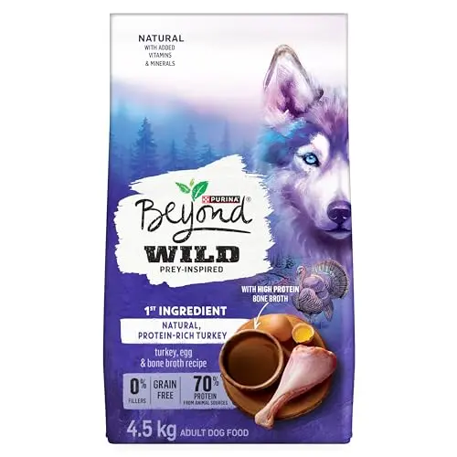 Bag of Beyond Wild dry dog food with turkey, egg, and bone broth