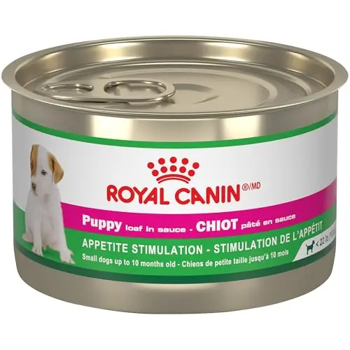 Royal Canin Canine Health Nutrition Puppy Canned Dog Food, 5.2 oz can 24-pack
