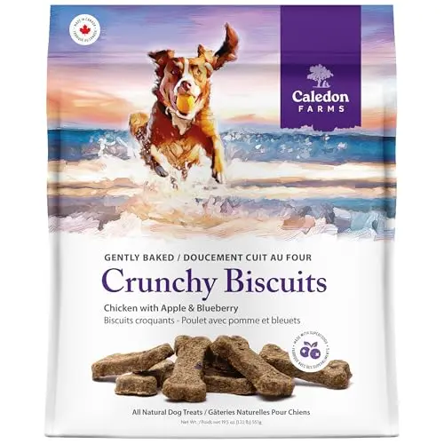 Caledon Farms Crunchy Biscuits Chicken Apple Blueberry dog treats pouch