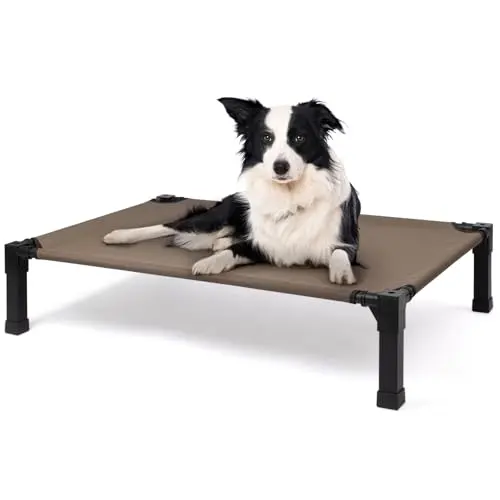 Heeyoo Elevated Dog Bed with brown textilene mesh and powder‑coated steel frame, dog resting outdoors