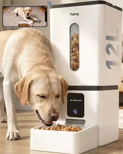 Yakry Q01 automatic dog feeder with camera sitting on a hardwood floor with a Labrador eating