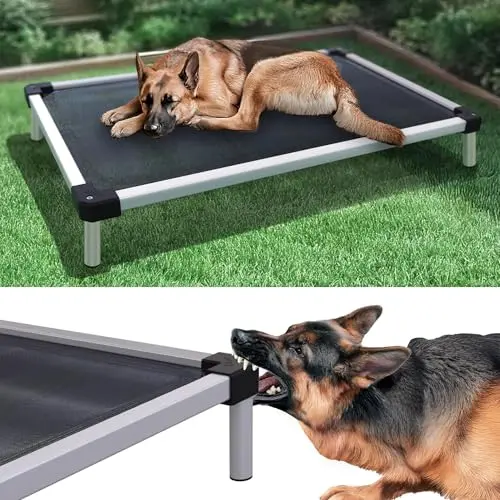 FXW TitanNest Chew-Proof Elevated Dog Bed in black for large dogs