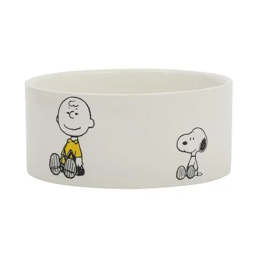 Peanuts Snoopy & Charlie Brown stoneware dog bowl with tall sides