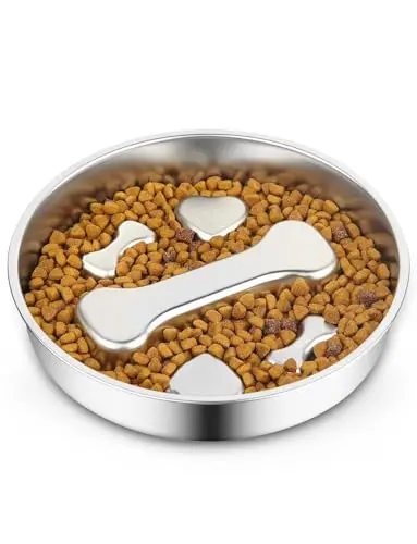 RooXchowla wide shallow stainless steel slow feeder dog bowl with non-slip base