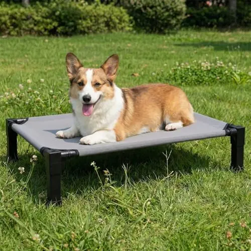 Lesguyor chew-resistant elevated dog cot with mesh and metal frame
