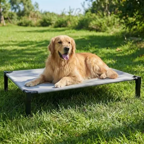 Lesguyor Elevated Dog Cot Bed