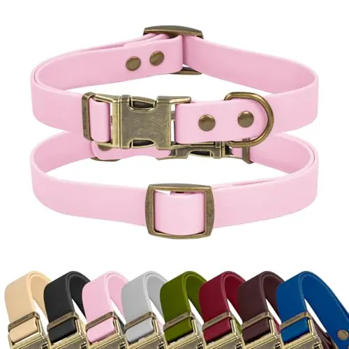 Wisedog purple rubber dog collar with antique bronze buckle