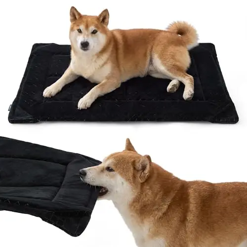 Bedsure Chew Resistant Dog Bed in black with reinforced corners