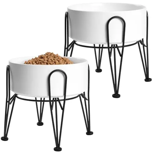 Kitwinney Elevated Ceramic Dog Bowl Set with Metal Stand