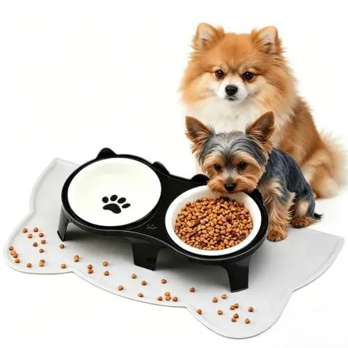 Black ceramic raised dog bowls with silicone mat and tilted plastic stand
