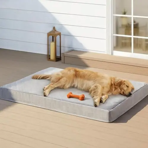 HUEIFY Indestructible Dog Bed