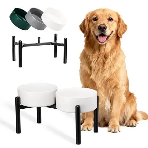 PTOBER raised ceramic dog bowl set with two white bowls and stainless steel stand