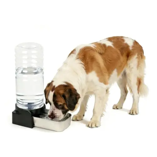 Ricoreich-005 extra large filtered dog water dispenser stainless steel