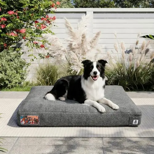 Sytopia Chew Proof Flat Mat in grey