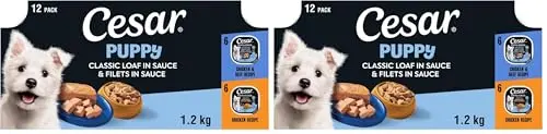 CESAR Puppy wet dog food tray
