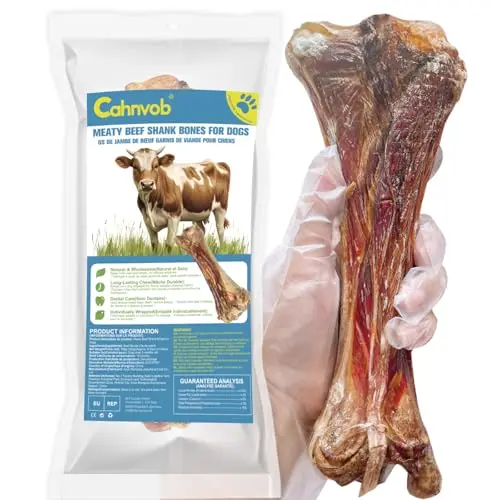 Cahnvob 8 inch Giant Beef Shank Bone
