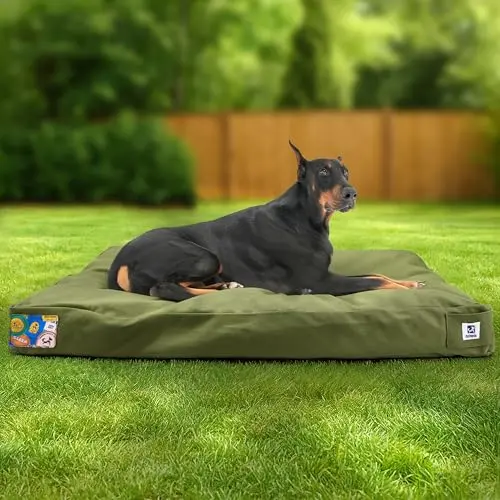 Sytopia Canvas Indestructible Dog Bed in Green